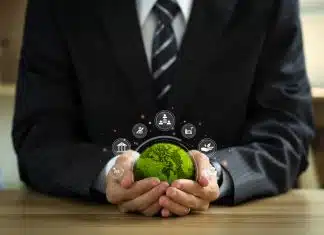 Entreprise et développement durable : les meilleures pratiques RSE à mettre en place