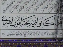 Les meilleures ressources en ligne pour les débutants en langue arabe