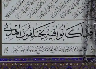 Les meilleures ressources en ligne pour les débutants en langue arabe