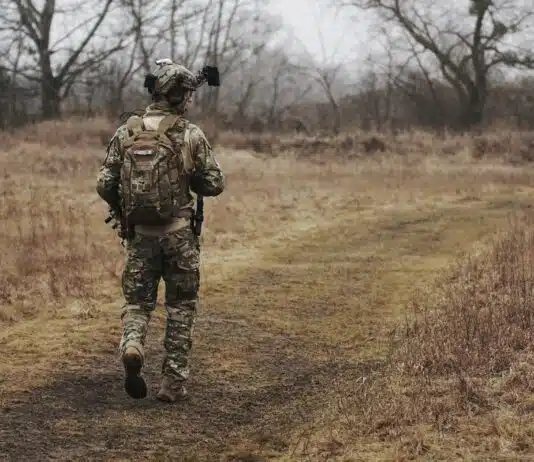 Les éléments incontournables d’un CV réussi pour l’armée
