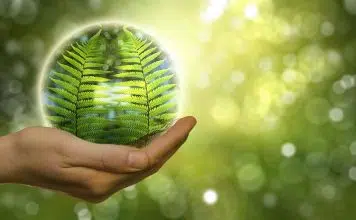 Travailler dans l’environnement : quel poste occuper ?