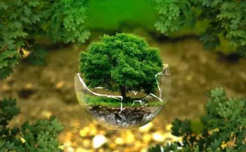 Quelle formation CPF me faire financer pour devenir animateur en environnement ?