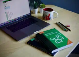 Formation : tour d’horizon des meilleures certifications pour valider ses compétences linguistiques entrainement pour une certification pour valider ses compétences linguistiques